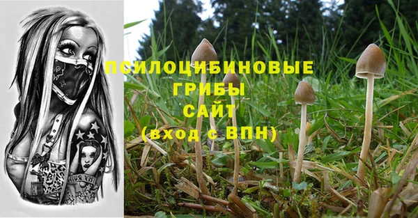 бошки Алексеевка