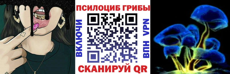 Псилоцибиновые грибы ЛСД  Пустошка 